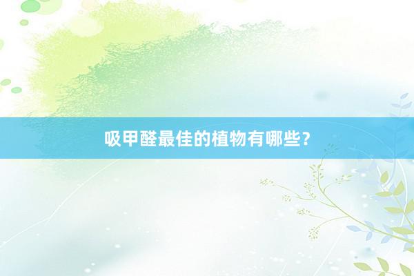 吸甲醛最佳的植物有哪些？