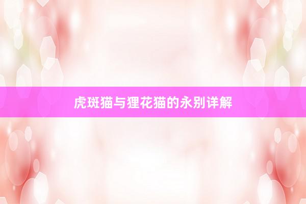 虎斑猫与狸花猫的永别详解