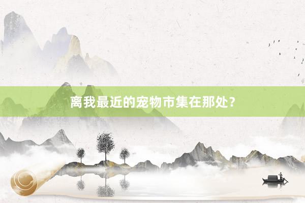 离我最近的宠物市集在那处?